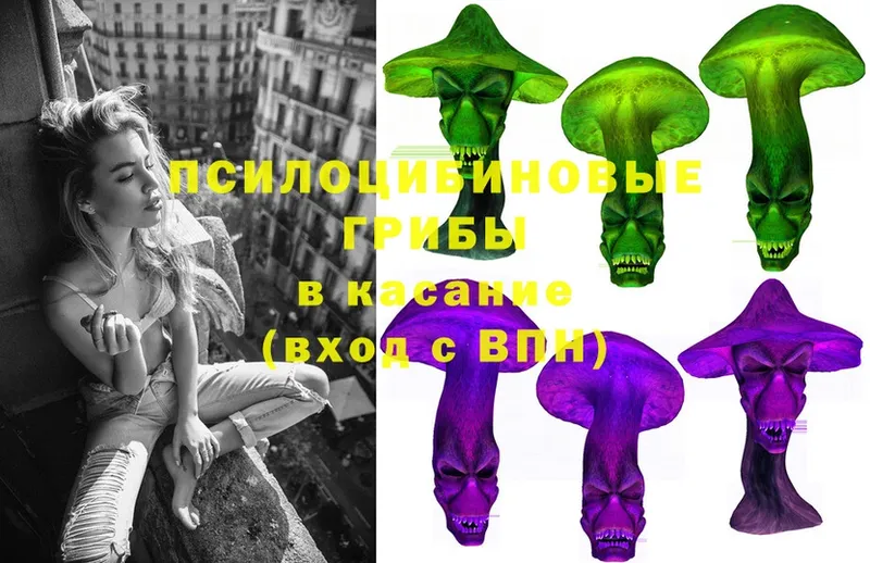 MEGA   Изобильный  Галлюциногенные грибы Psilocybine cubensis 